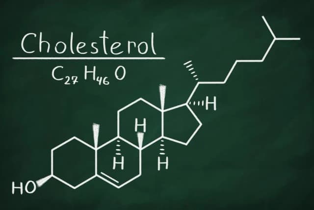 Podwyższony poziom cholesterolu całkowitego – przyczyny, skutki i jak go obniżyć Podwyższony poziom cholesterolu całkowitego – przyczyny, skutki i jak go obniżyć